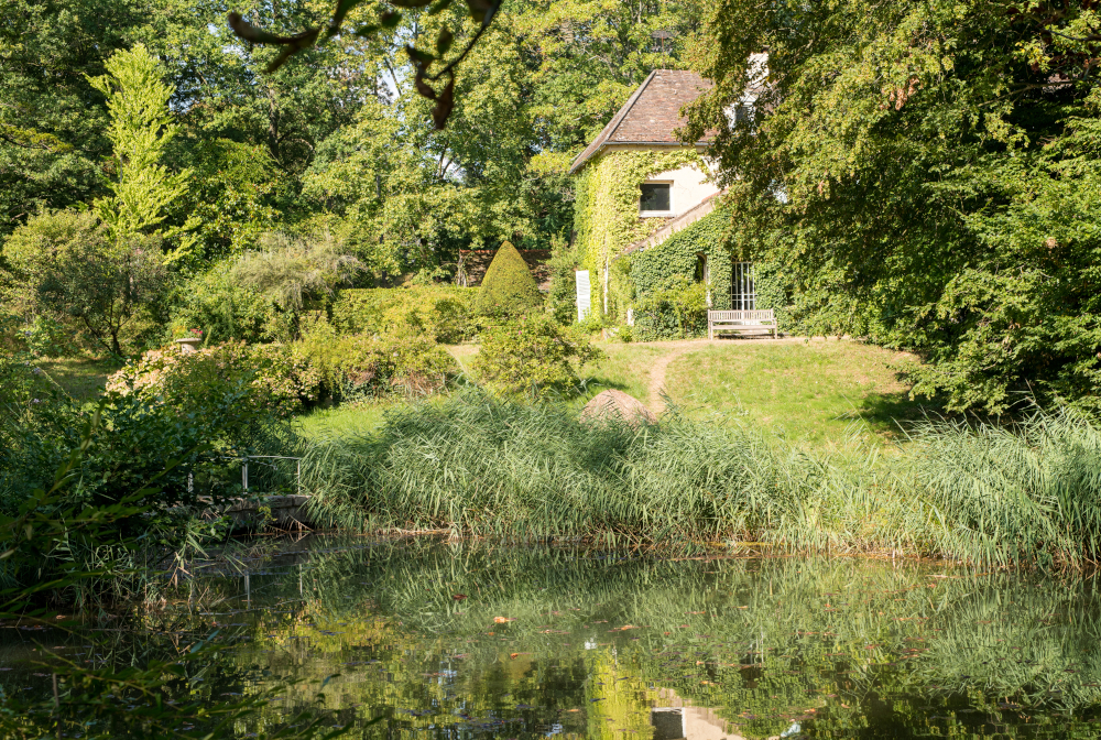 Trees And Plants Growing By House In Lake