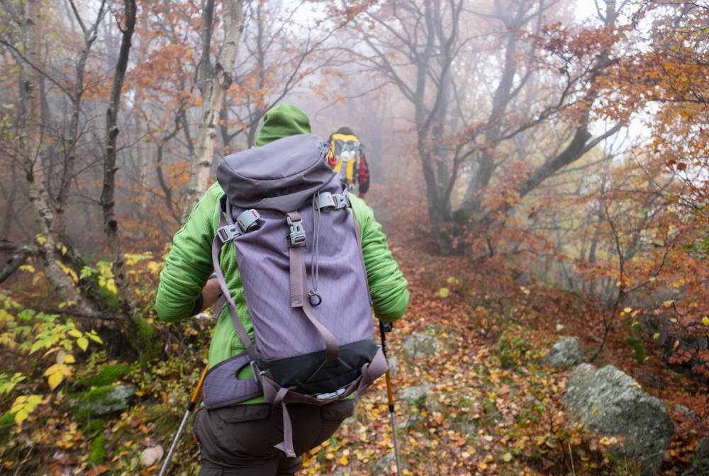 Hikers In The Forest In Autumn