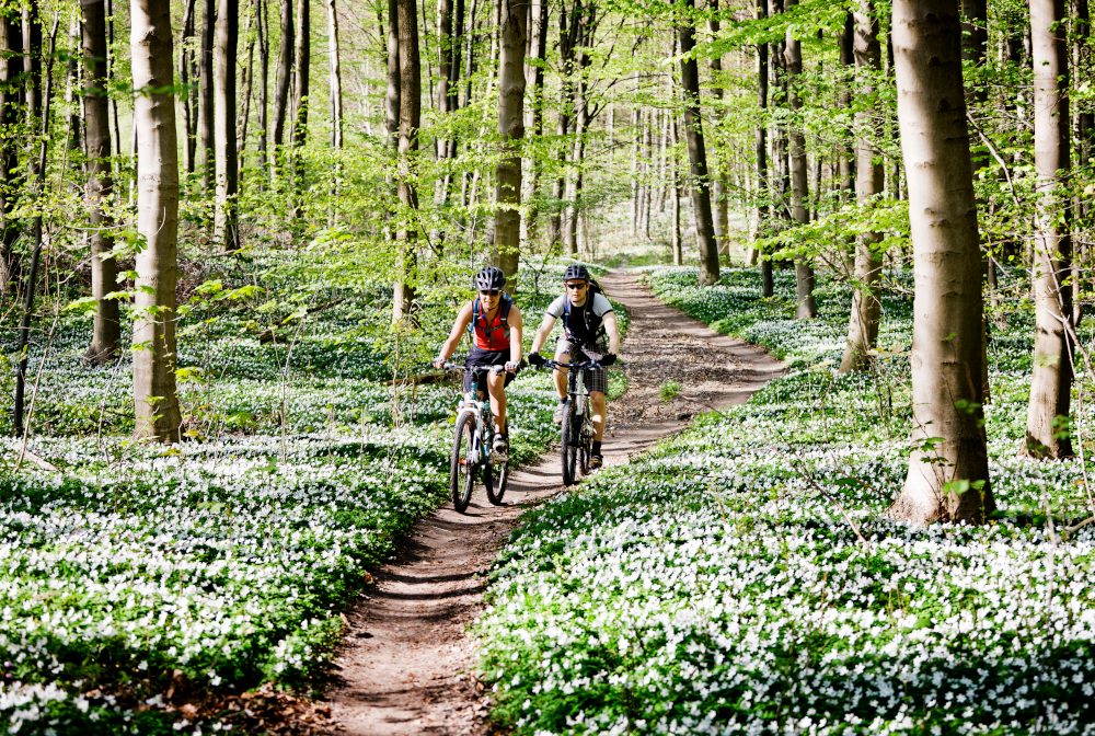 Couple Mountain Biking Together