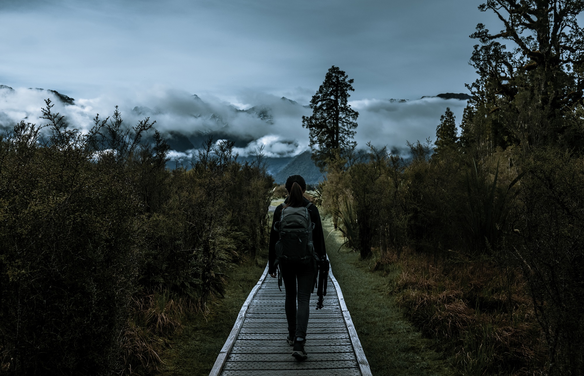 Hiking In New Zealand